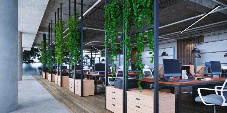 Green Office: Mit Pflanzen zum Erfolg Schwadke