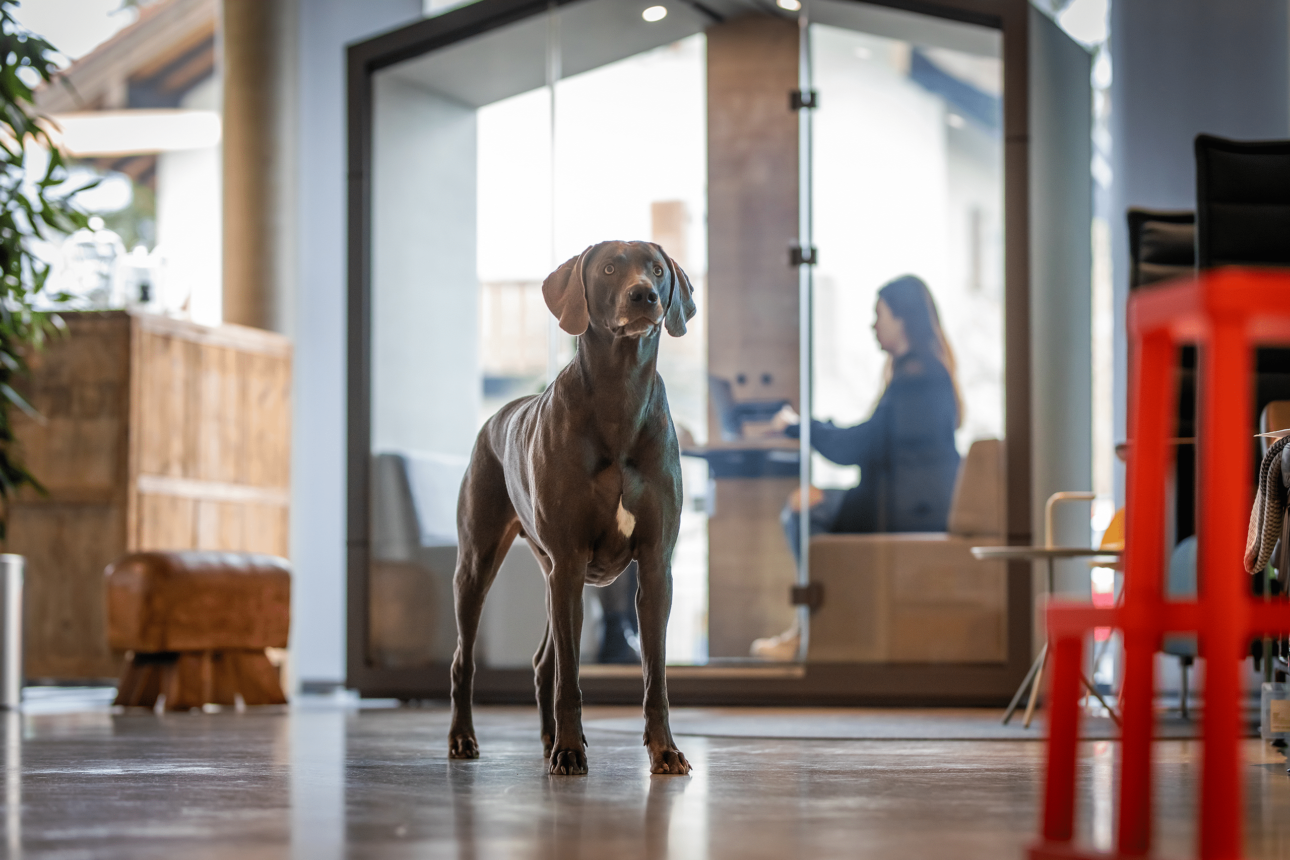 Gesunde Gewohnheiten 2026 im Büro etablieren
